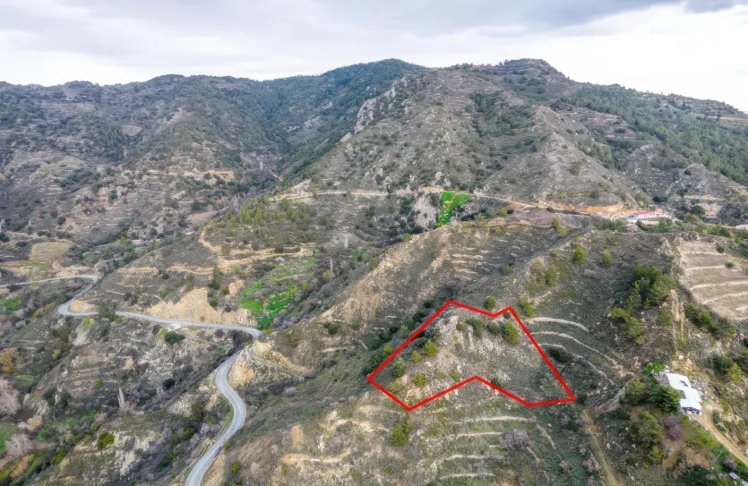 Agricultural land - 18526, photo 2