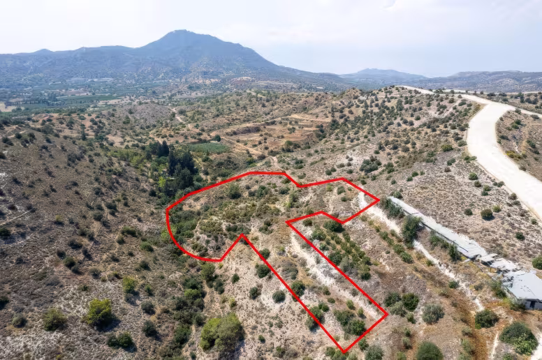 Agricultural land in Larnaca, Anglisides