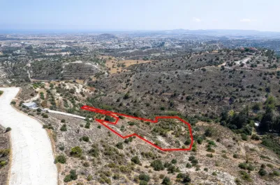 Сельхоз земля - 18525, photo 1