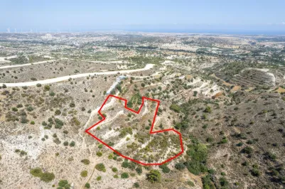 Сельхоз земля - 18525, photo 2