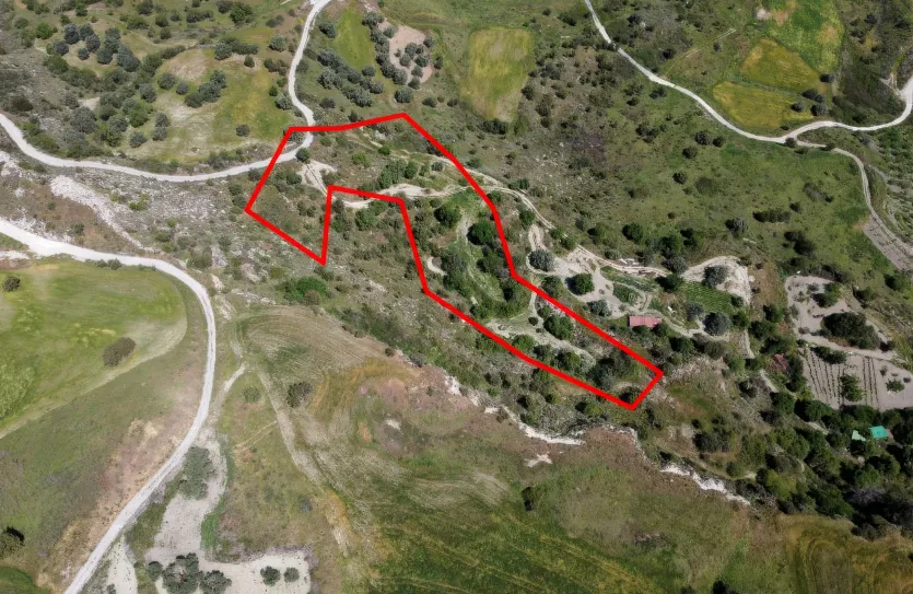 Сельхоз земля продажа - 18529