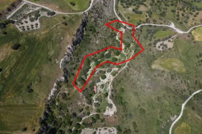 Сельхоз земля - 18529, photo 1