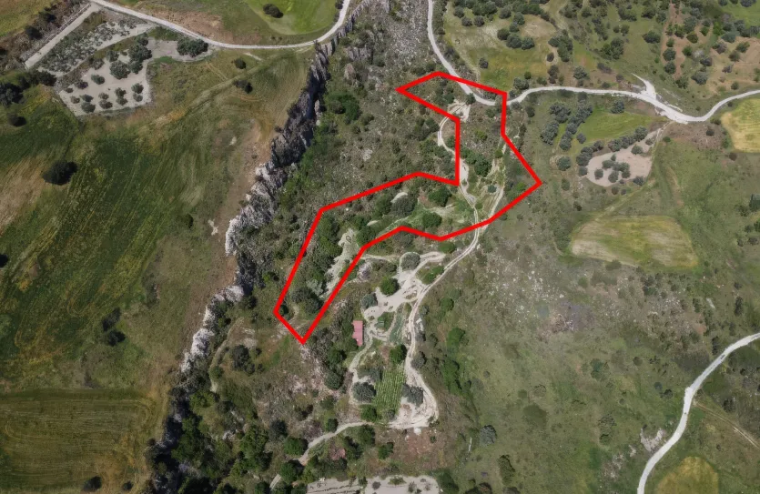 Сельхоз земля - 18529, photo 2