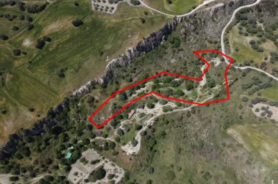 Сельхоз земля - 18529, photo 2