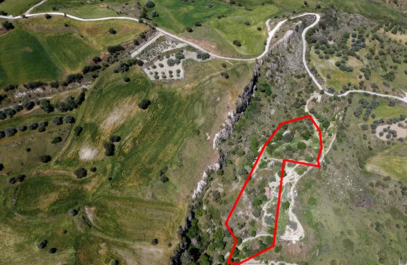 Сельхоз земля - 18529, photo 5