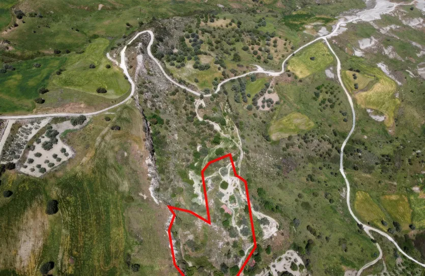 Сельхоз земля - 18529, photo 6