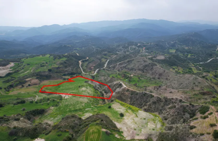 Сельхоз земля продажа - 18524