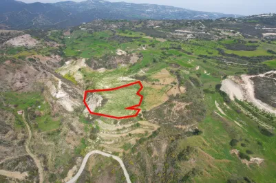 Сельхоз земля - 18524, photo 1