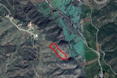 Agricultural land - 18527, photo 1