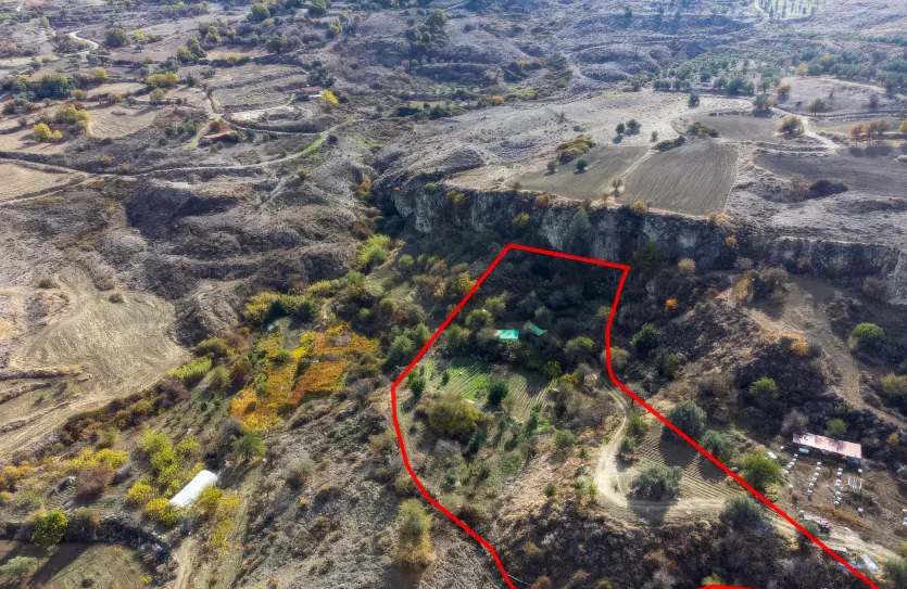 Сельхоз земля - 18532, photo 2