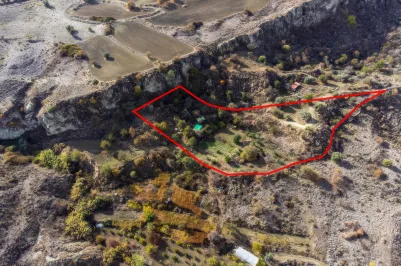 Сельхоз земля - 18532, photo 2