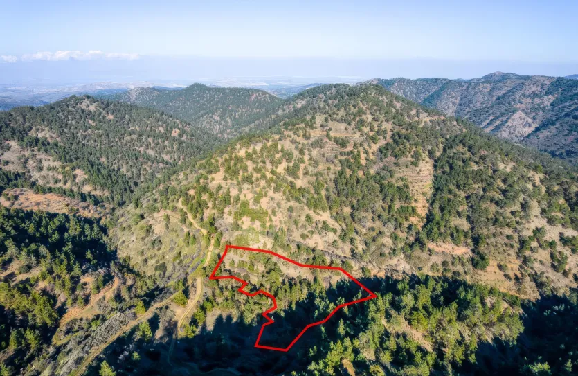 Agricultural land - 18528, photo 2