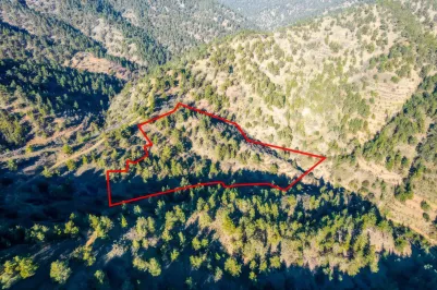 Agricultural land - 18528, photo 2