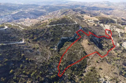 Сельхоз земля - 18531, photo 1