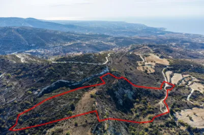 Сельхоз земля - 18531, photo 2