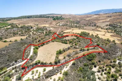 Сельхоз земля - 18535, photo 1