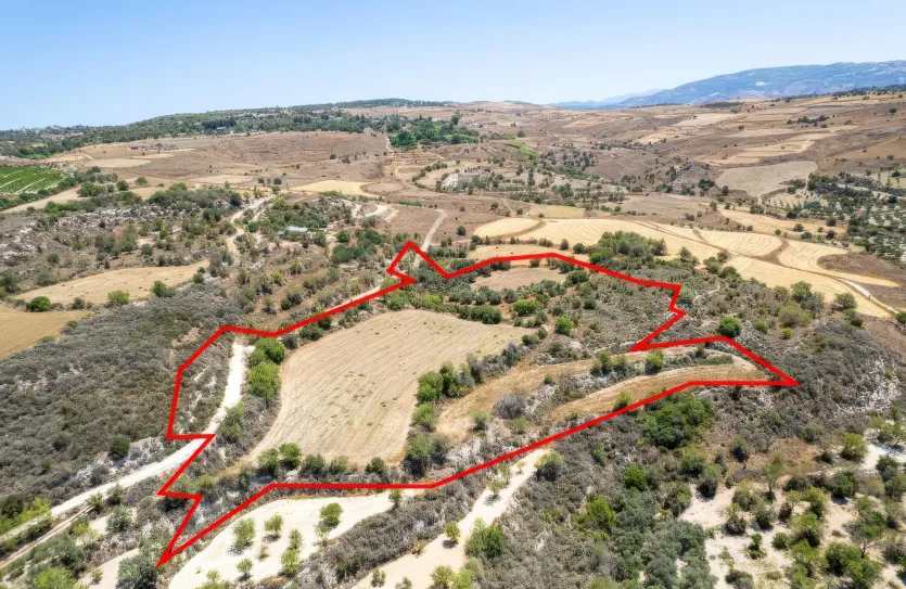 Сельхоз земля - 18535, photo 2