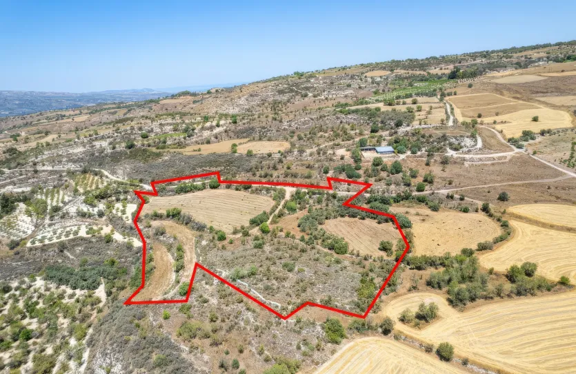 Сельхоз земля - 18535, photo 3