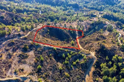 Сельхоз земля - 18533, photo 1