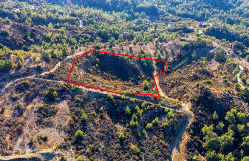 Сельхоз земля - 18533, photo 2