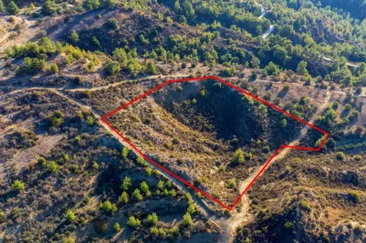 Сельхоз земля - 18533, photo 2