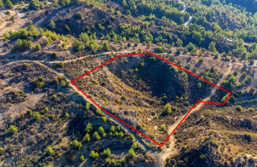 Сельхоз земля - 18533, photo 3