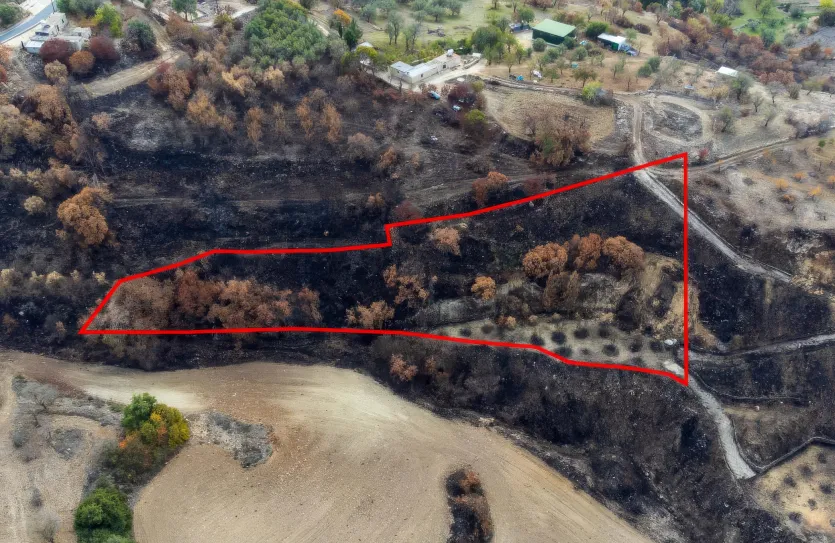 Сельхоз земля продажа - 18536