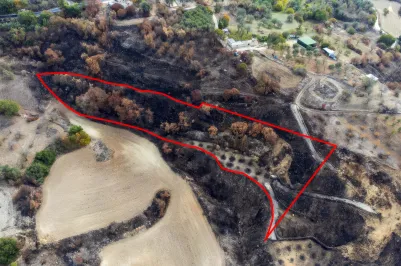 Сельхоз земля - 18536, photo 1