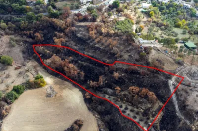 Сельхоз земля - 18536, photo 2