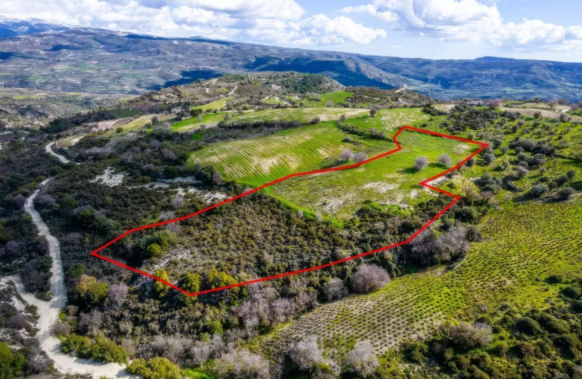 Сельхоз земля продажа - 18534