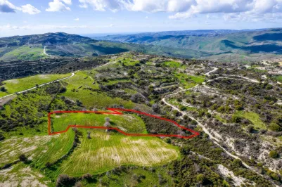 Сельхоз земля - 18534, photo 1