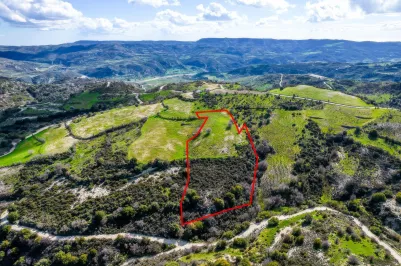 Сельхоз земля - 18534, photo 2