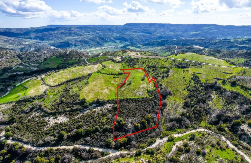 Сельхоз земля - 18534, photo 3