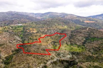 Сельхоз земля - 18538, photo 1