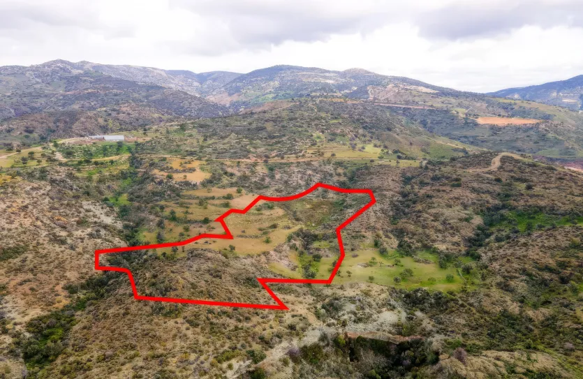 Сельхоз земля - 18538, photo 2