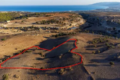 Сельхоз земля - 18537, photo 1