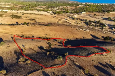 Сельхоз земля - 18537, photo 2