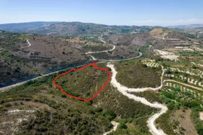 Сельхоз земля - 18540, photo 1