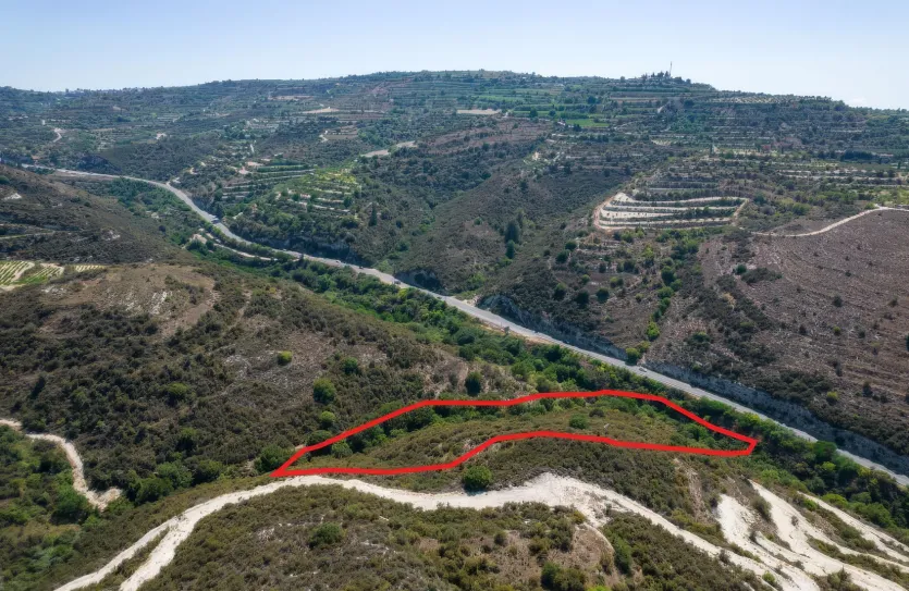 Сельхоз земля - 18540, photo 3