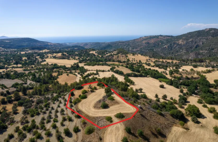 Сельхоз земля - 18541, photo 2