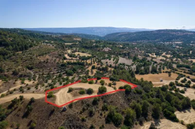 Сельхоз земля - 18541, photo 2