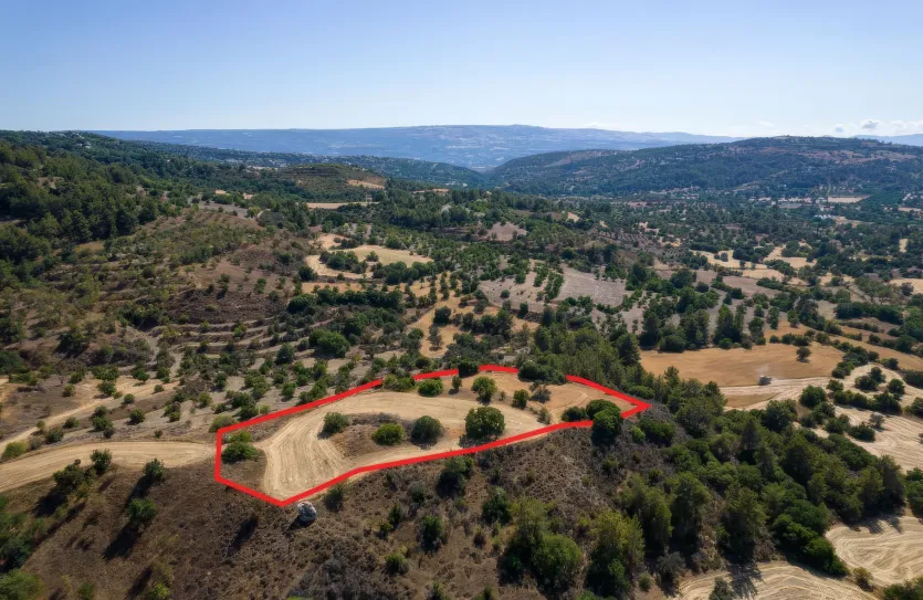 Сельхоз земля - 18541, photo 3