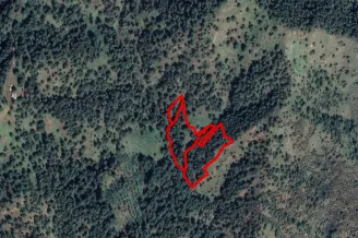 Agricultural land in Pigenia, Nicosia - 18539