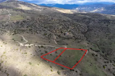 Сельхоз земля - 18544, photo 1