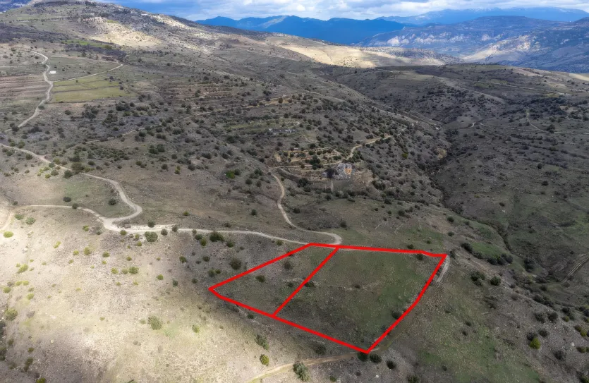 Сельхоз земля - 18544, photo 2