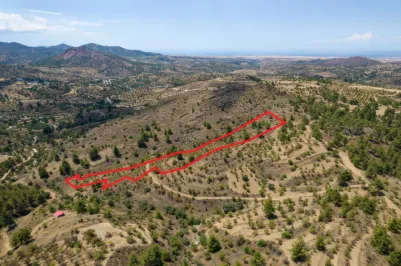 Agricultural land - 18542, photo 1