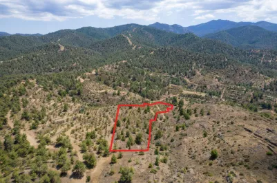 Agricultural land - 18542, photo 2