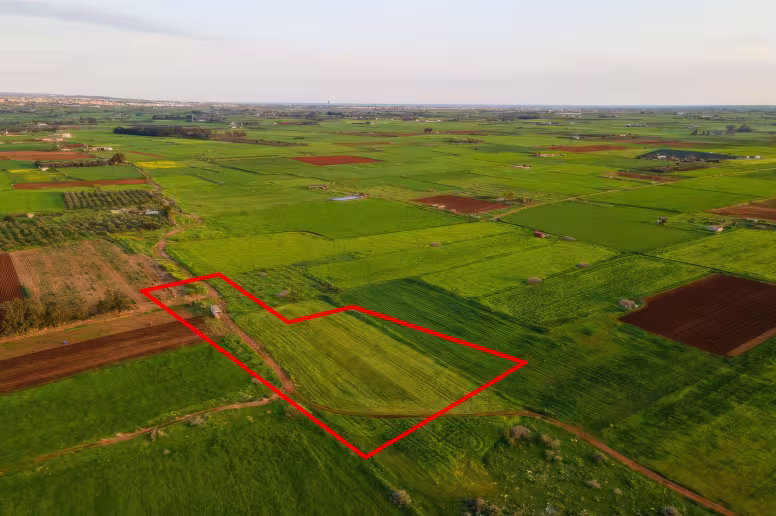 Agricultural land in Avgorou, Famagusta