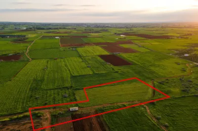 Agricultural land - 18543, photo 1