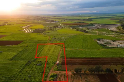 Agricultural land - 18543, photo 2